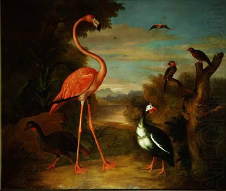 Jakob Bogdani Flamingo and Other Birds in a Landscape china oil painting image
